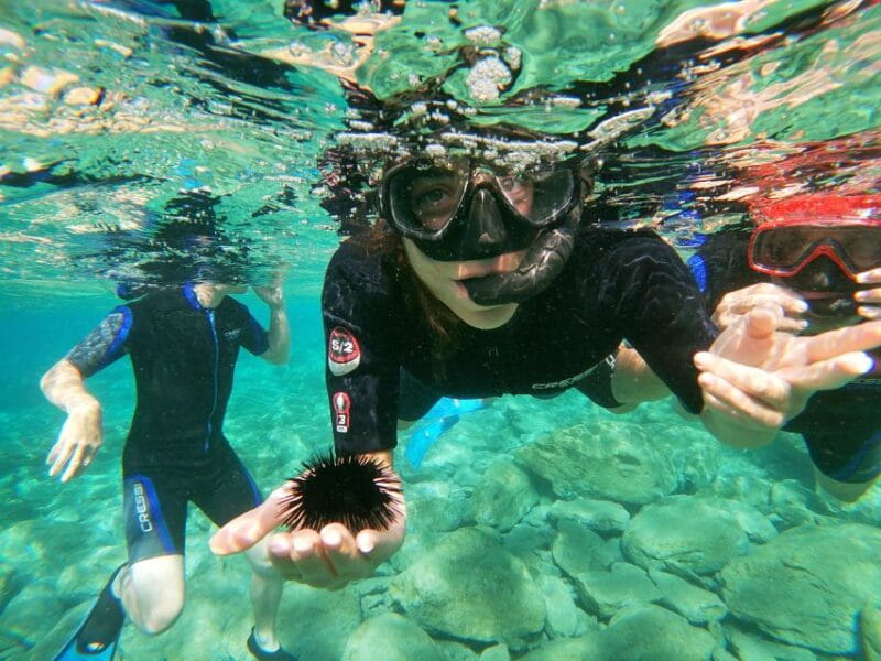 Heraklion: Beginner-Friendly Snorkeling Trip - The Sum Up