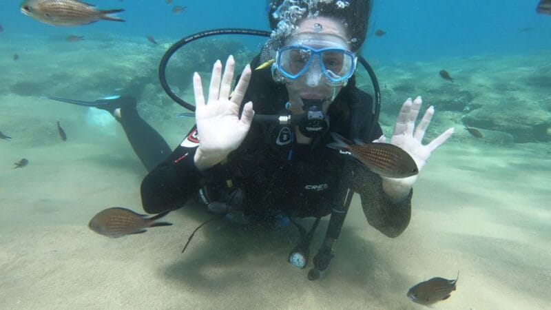 Heraklion: Beginner Scuba Diving Lesson with PADI Instructor - Who Will Love This Experience?