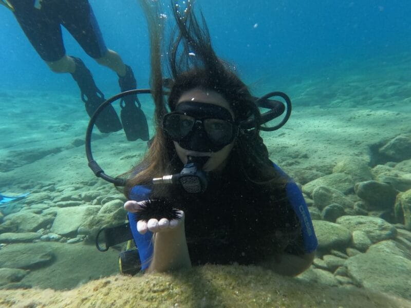 Heraklion: Beginner's intro dive w/2 Dives with transfer. - Who Will Love This Experience?