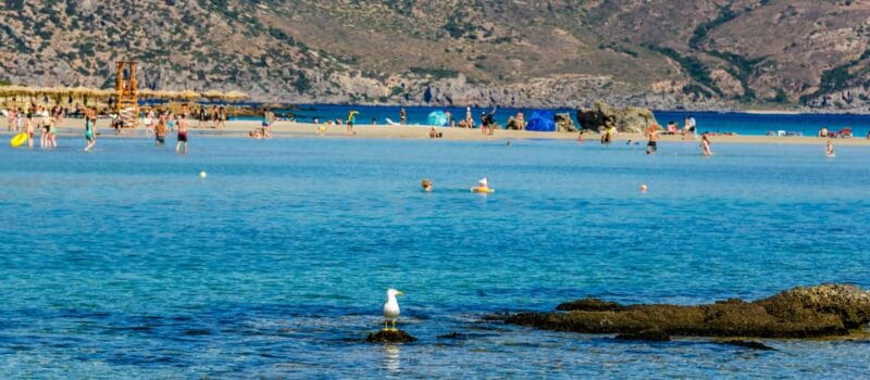 Heraklion: Elafonisi Beach: Discover the Pink Sand Paradise - Key points / Takeaways