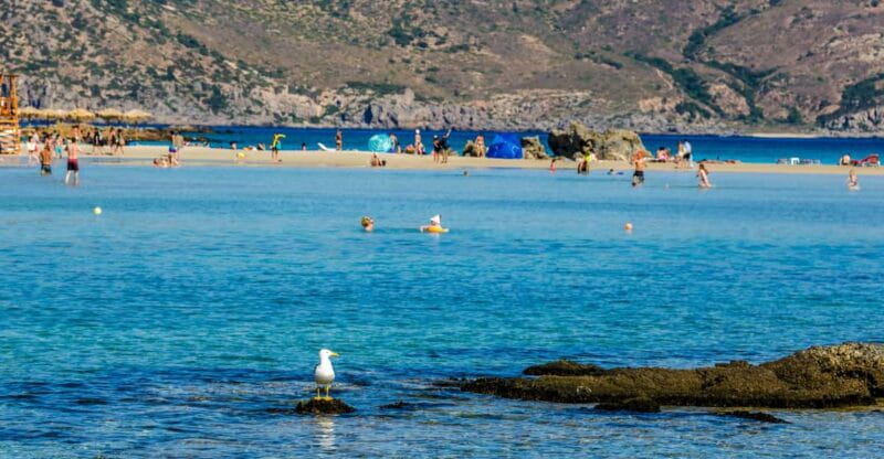 Heraklion: Elafonisi Beach: Discover the Pink Sand Paradise - FAQ