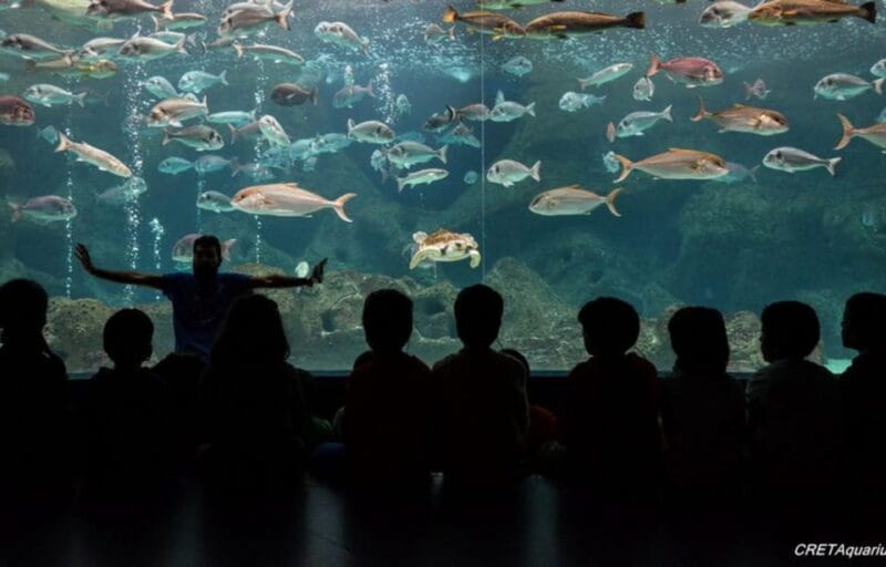 Heraklion: Family Fun Day with Dinosauria and CRETAquarium - The Sum Up