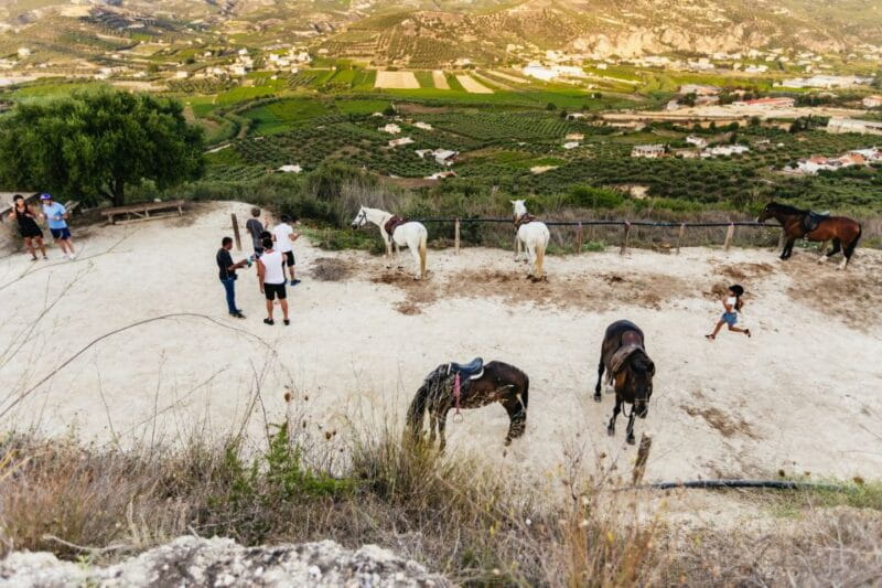 Heraklion: Finikia Horse Riding Tour with Lunch or Dinner - FAQ