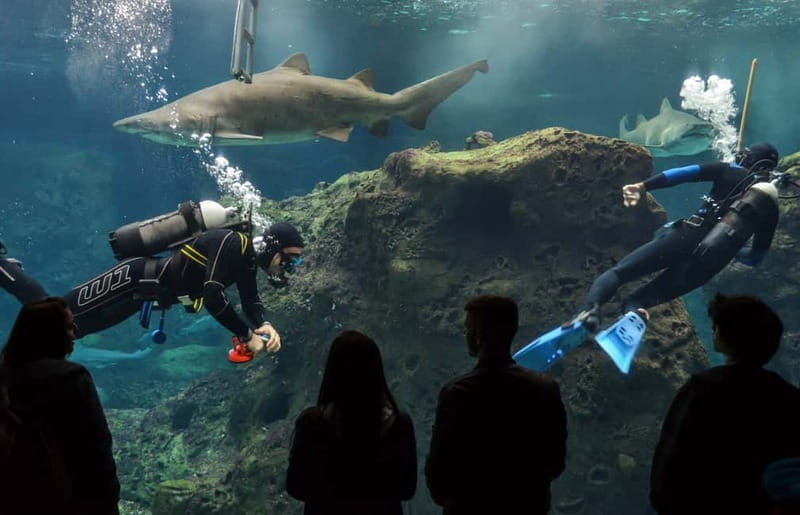 Heraklion: Heraklion Market & CretAquarium *SKIP The Line - Final Thoughts