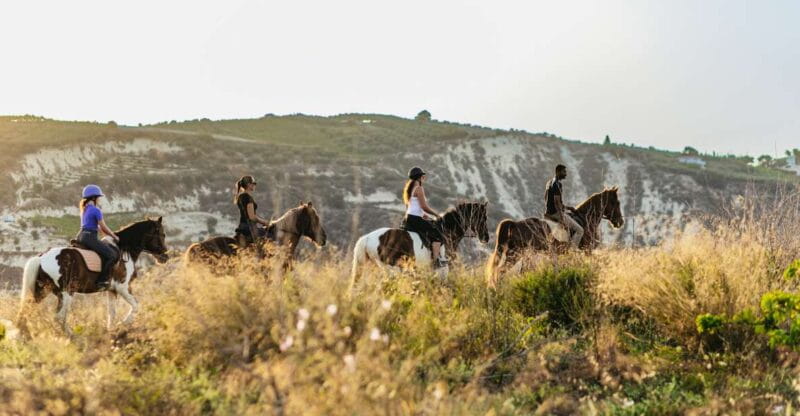 Heraklion: Horse Ride in the Cretan Mountains - Entering the Finikia Horse Riding Experience