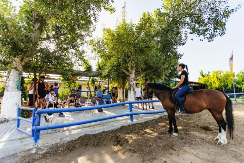 Heraklion: Horse Ride in the Cretan Mountains - The Experience for Different Riders