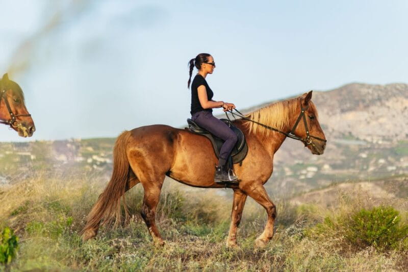 Heraklion: Horse Ride in the Cretan Mountains - The Hospitality and Guides