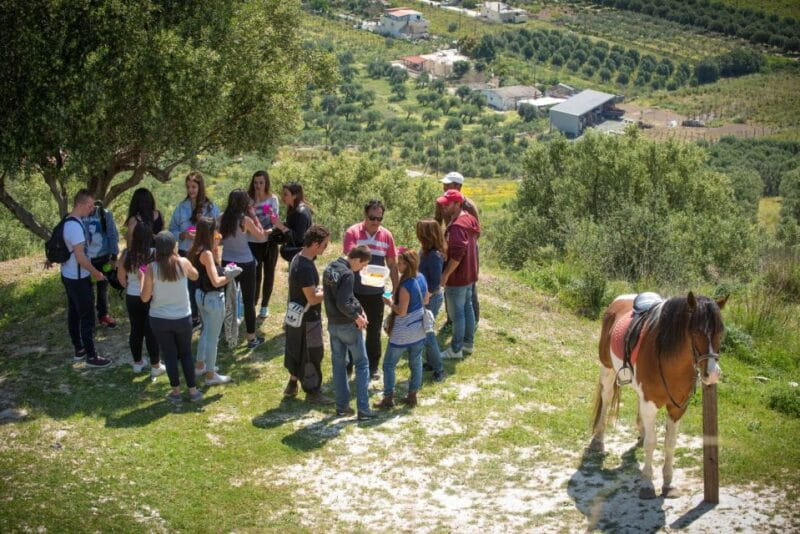 Heraklion: Horseriding Day Tour with Lunch and Transfer - Who Will Love This Tour?