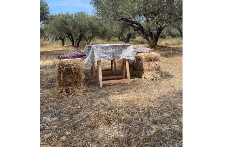 Heraklion :Olive & Dragon Farm Tour & Cretan Farmers Brunch - Entering Crete’s Olive and Dragon Fruit World