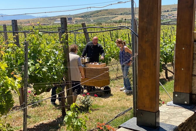 Heraklion Private Half-Day Wine Tasting Tour in Lyrarakis Winery - Who Will Love This Tour?