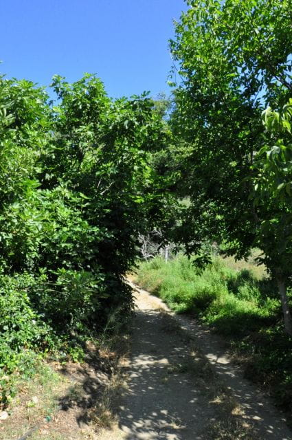 Heraklion: Private Tour to Rihti Waterfalls and Mochlos - Itinerary Highlights