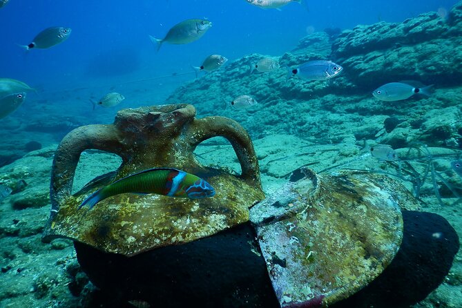 Heraklion: Scuba Diving Experience for Beginners - Meeting and End Points