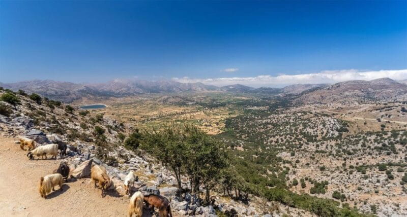 Heraklion: Sunset Safari with Dinner & Prosecco - Exploring the Sunset Safari with Dinner & Prosecco in Crete