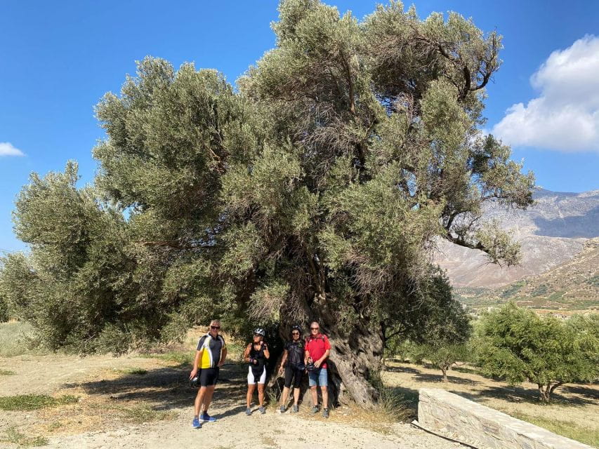 Heraklion: Wine Tasting E-Bike Tour - Wine Tasting Experience