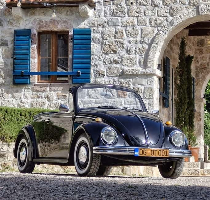 Herceg Novi: Old Timer Tour & Wine Tasting Charms - The Highlight: Wine Tasting with a View