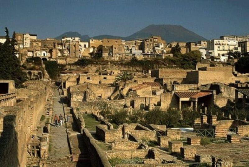 Herculaneum: 2hour Shared Guided Tour + entry tickets - Entering the World of Herculaneum