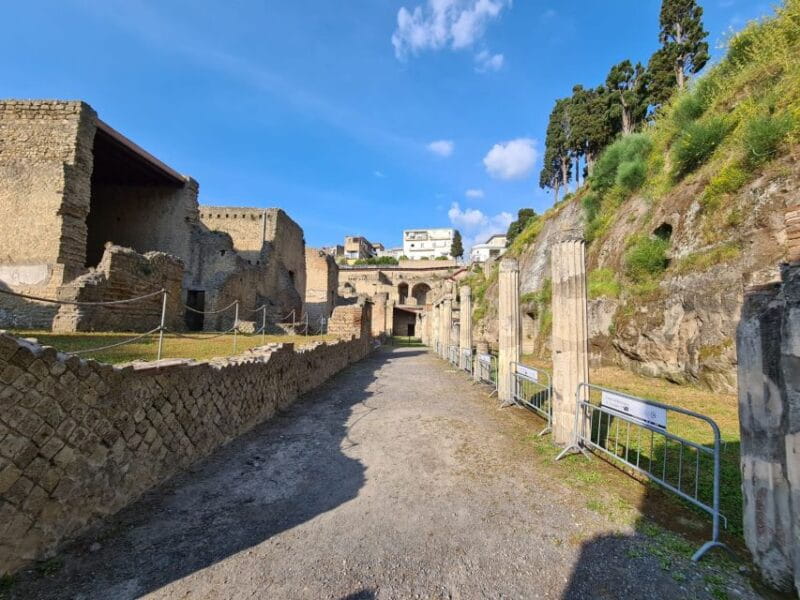 Herculaneum Archaeological Park smart Audio Tour - Final Thoughts: Is It Worth It?