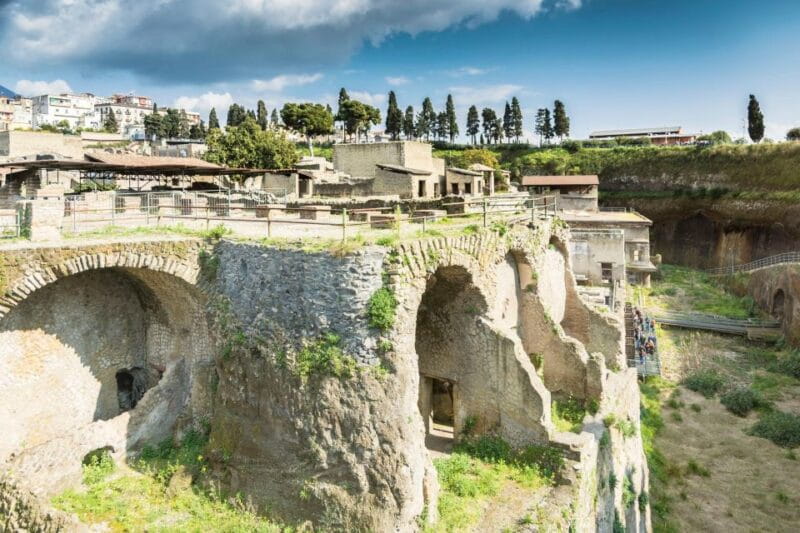 Herculaneum: Private Tour with Driver from Naples - Price and Value: What You’re Paying For