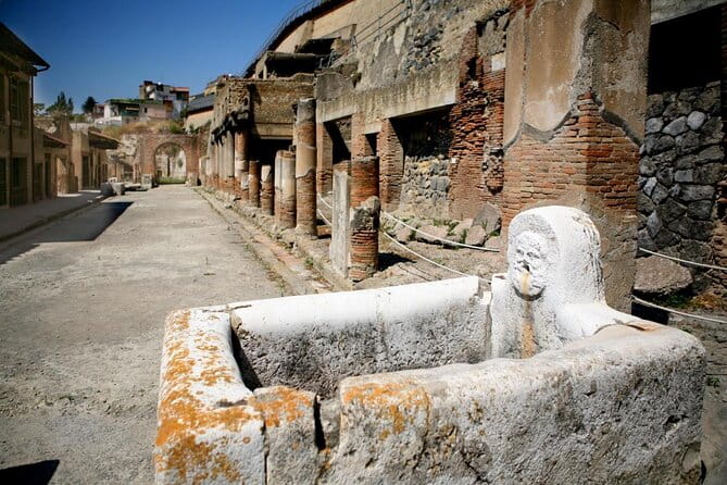 Herculaneum walking tour with a professional Guide - Key Points / Takeaways