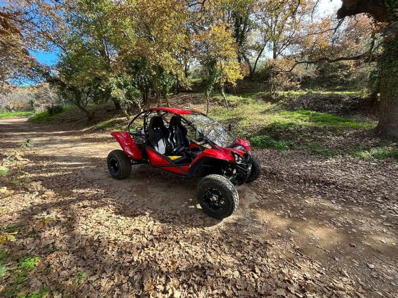 Hersonissos: Buggy Safari Adventure Tour - Tour Logistics and Practical Details