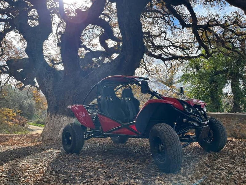 Hersonissos: Buggy Safari Adventure Tour - Who Will Love This Experience?