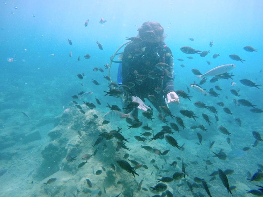 Hersonissos, Stalida: Beginner Scuba Diving Experience - Customer Experience and Feedback