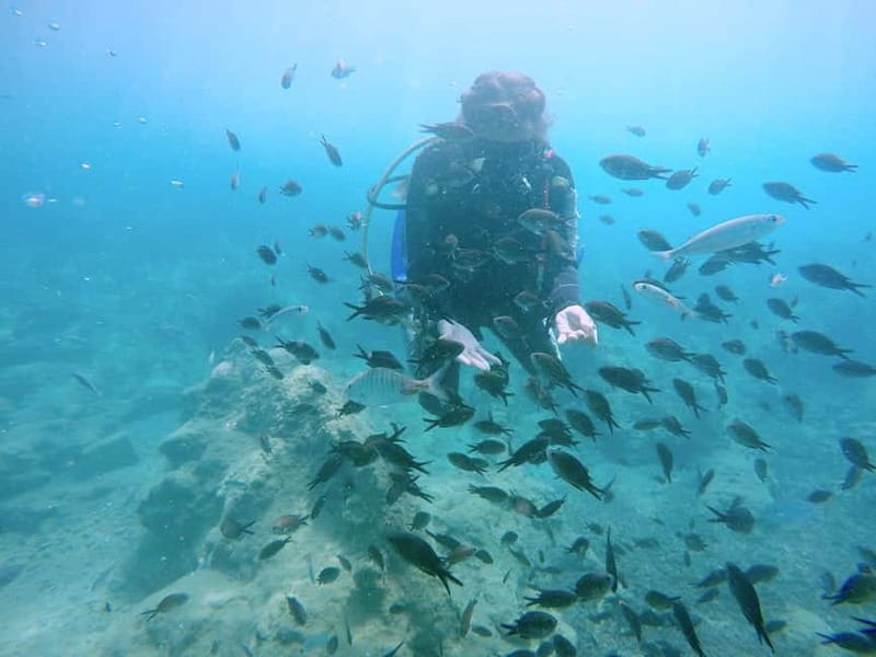 Hersonissos, Stalida: Scuba Diving Experience for beginners - Exploring the Experience: What to Expect on Your Scuba Journey