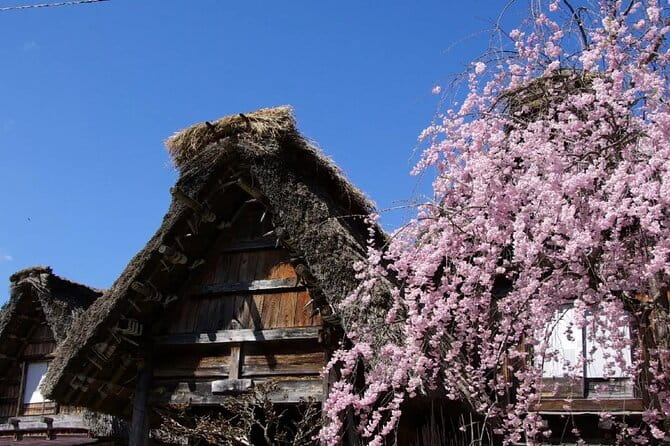 Hida Takayama and Shirakawago One Day Bus Tour From Nagoya - Key Points