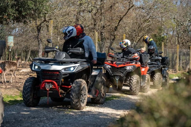 Hidden Peak - Vodnjan-Bale Quad Tour - Price and Value