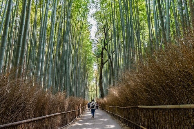 Hidden Temples in Kyoto a Self-Guided Zen Tour - Meeting and End Points