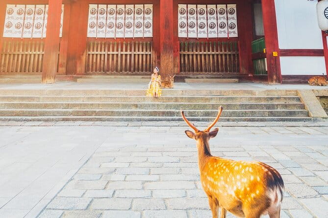 Hidden Temples in Kyoto a Self-Guided Zen Tour - Frequently Asked Questions