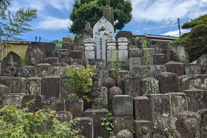 Hidden Temples Tour of Tokyo in Karasuyama - Whats Included in the Tour