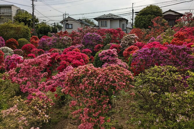 Hidden Temples Tour of Tokyo in Karasuyama - Booking and Cancellation Policies