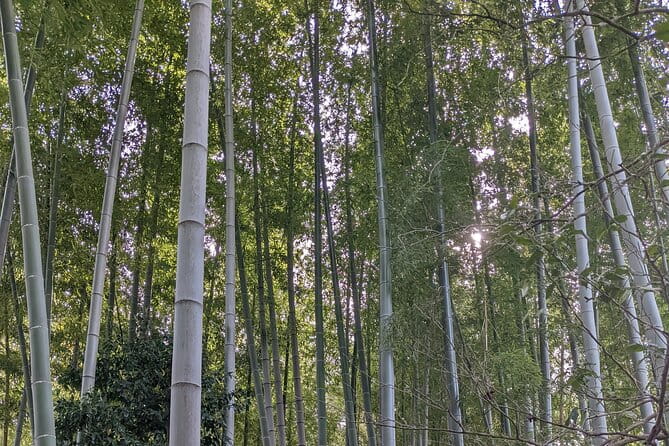 Hidden Temples Tour of Tokyo in Karasuyama - Tips for an Enjoyable Experience