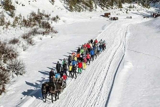 Hidden Valley Ski Tour - Who Should Consider This Tour?