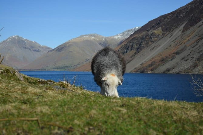 High Adventure: Mountain Passes & Muncaster Castle from Oxenholme - FAQs