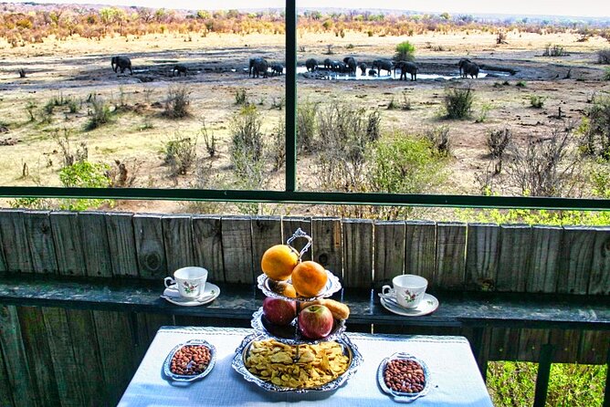 High Tea in the Savannah, Catering by Victoria Falls Hotel - Key Points