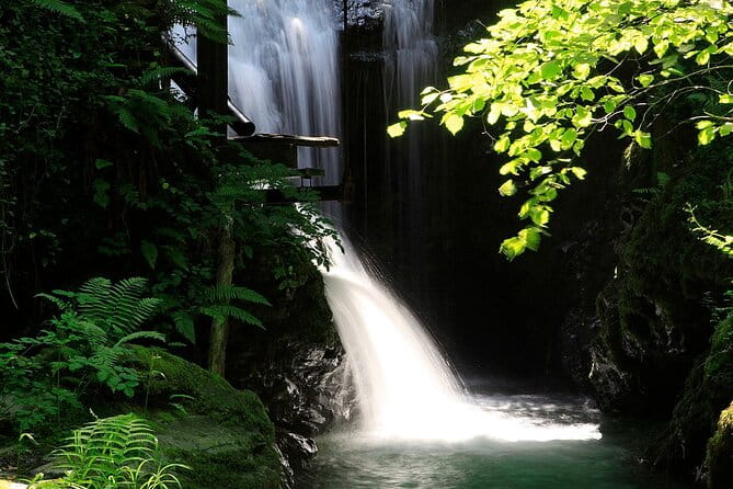 Highlight of the Basque/French territory - Who Will Appreciate This Tour?