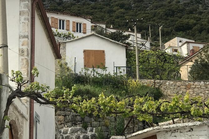 Highlights of Albania in 8 days (Classical Albania) - Final Thoughts