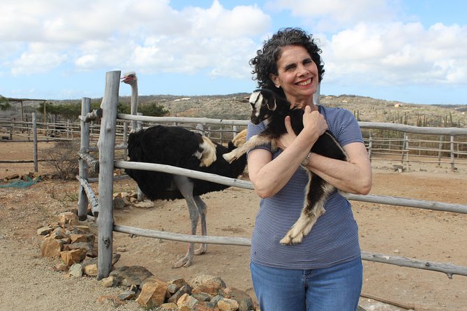 Highlights of Aruba Island Tour - Ostrich Farm Experience