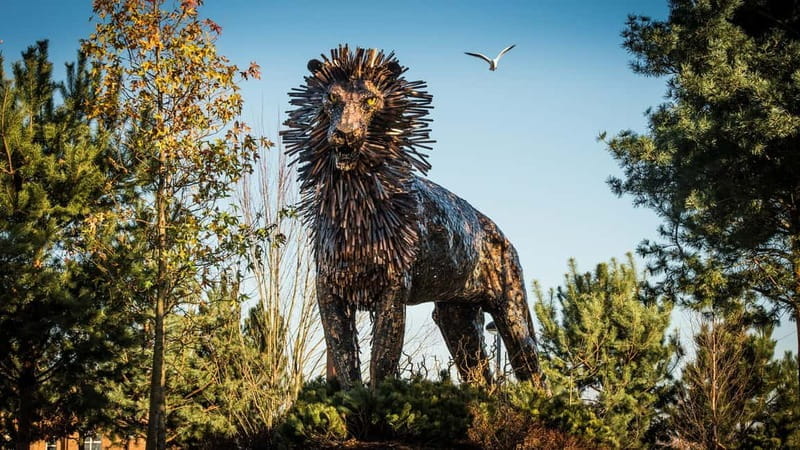 Highlights of Belfast - Private City Tour - Exploring Belfast: A Practical and Authentic Overview