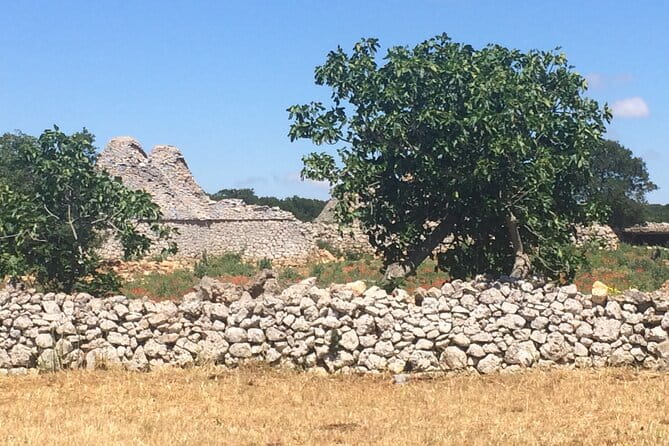 Highlights of Puglia: Bari, Alberobello and the charming villages - Key points / Takeaways