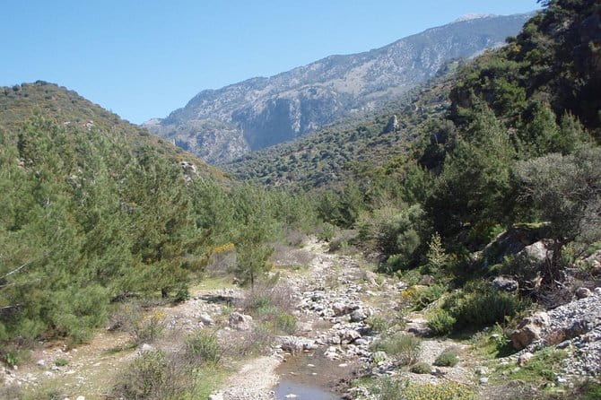 Hike Agia Irini Gorge Private Tour (price per group of 6) - Entering the Gorge: A Scenic Walk in Agia Irini
