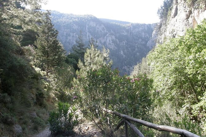 Hike Agia Irini Gorge Private Tour (price per group of 6) - The Sum Up