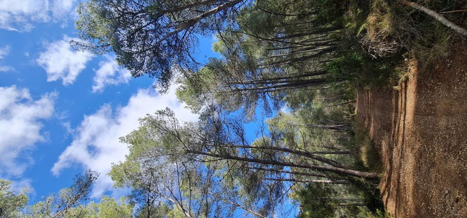 Hike and Swim in Montenejos Thermal Springs - Hiking Routes and Options