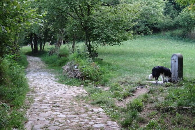 Hike & Beer: beer tasting & breathtaking views at sunset - Who Is This Tour Best For?