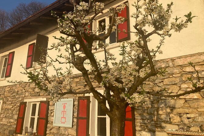 Hike in Blevios Forest for a Private Yoga Class - Entering the Forest and Reaching the Baita