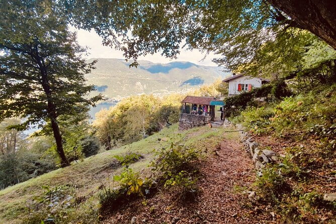 Hike in Blevios Forest for a Private Yoga Class - Returning Down the Mountain