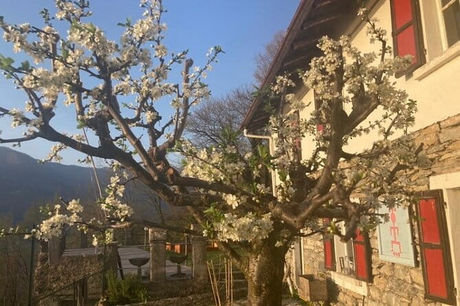 Hike in Blevios Forest for a Private Yoga Class - FAQ