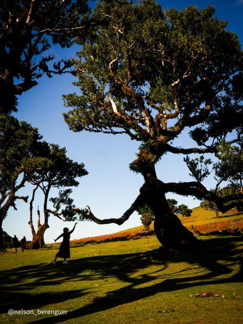 Hike in Fanal in a different way - Key points / Takeaways